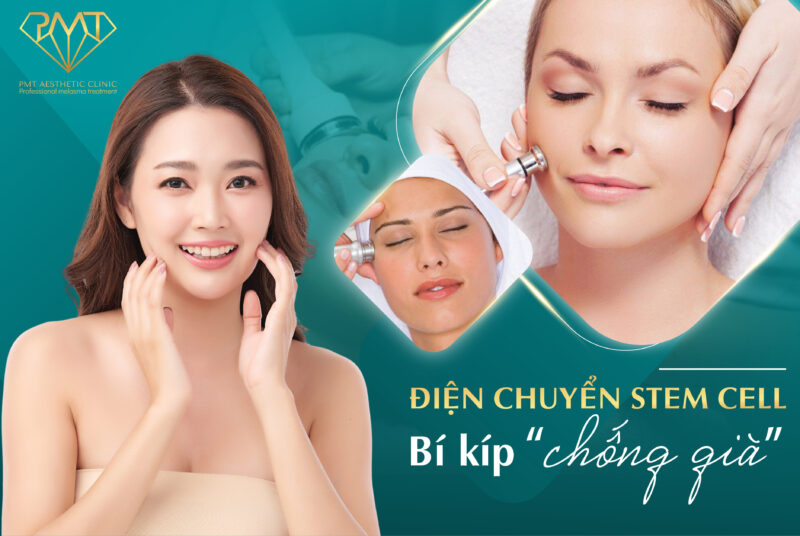 Cơ Chế Hoạt Động Của Liệu Trình Fibro Cell Tại PMT